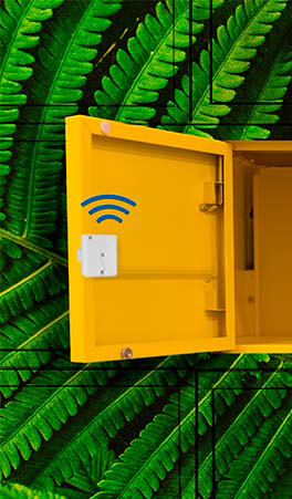 Cacifos inteligentes